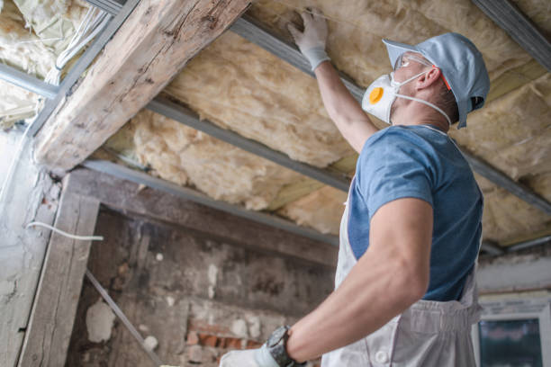 Best Insulation Removal Services  in Mayer, AZ